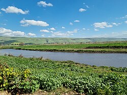 Lake Semechonitis (Huleh)