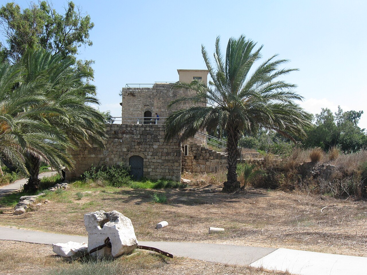Kurdani (Ein Afek Mills)