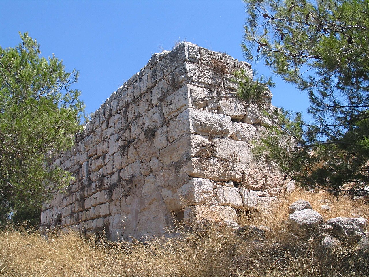 QULA